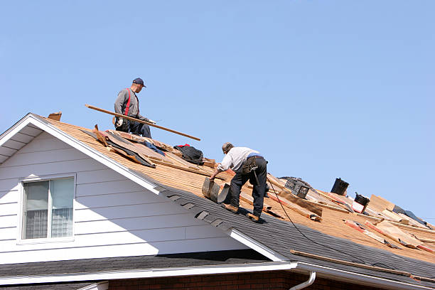 Best Roof Maintenance and Cleaning  in Rochester, MI